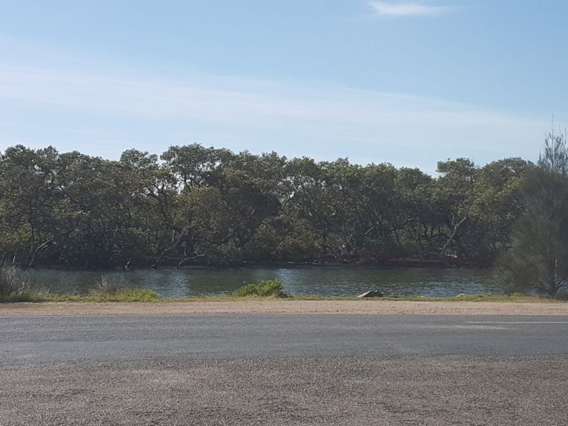 2/44 Camden Head Road, Dunbogan NSW 2443