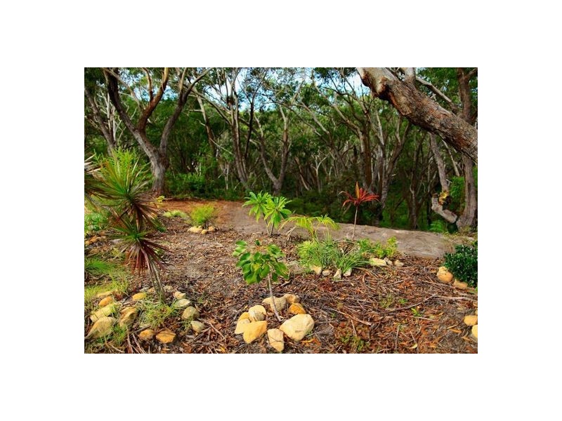 17 Birramal Drive, Dunbogan NSW 2443