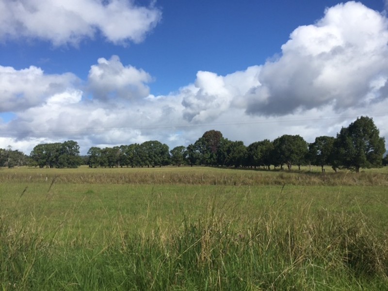 19 Freemans Road, Rawdon Island NSW 2446