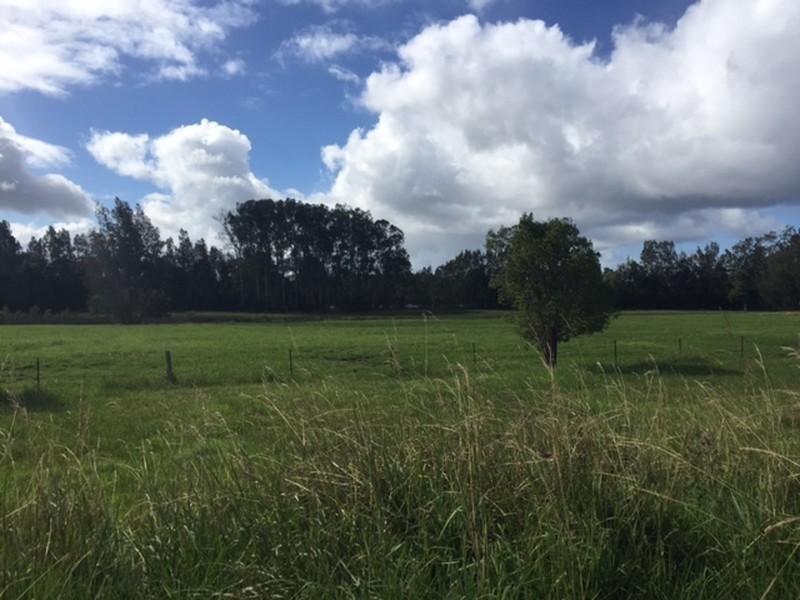 19 Freemans Road, Rawdon Island NSW 2446