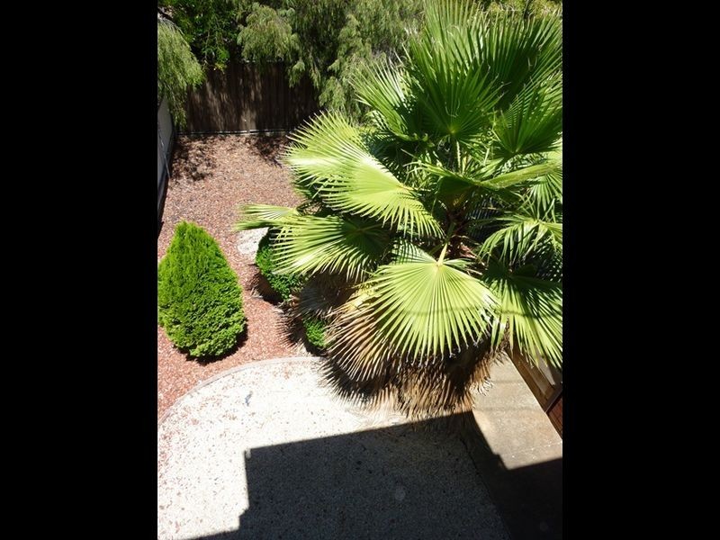 3/7 Harmer Court, Wynn Vale SA 5127