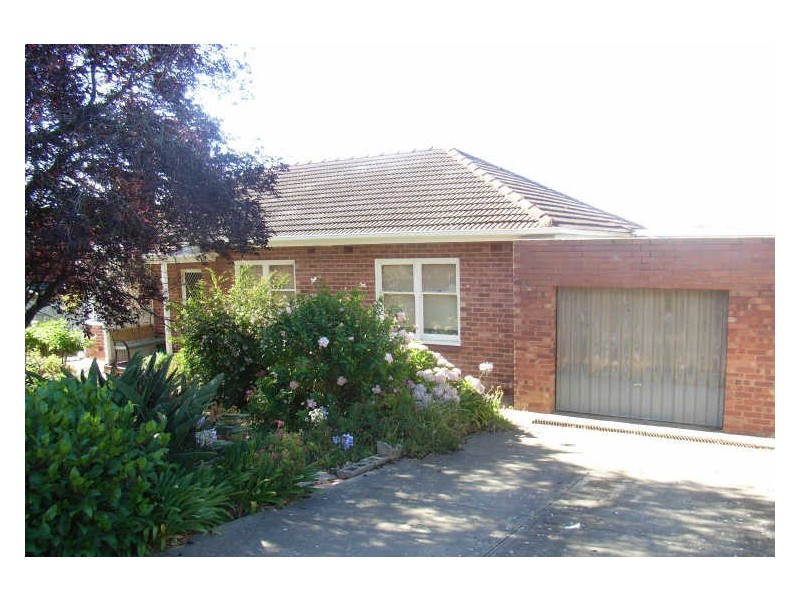 20 Barns Avenue, Highbury SA 5089