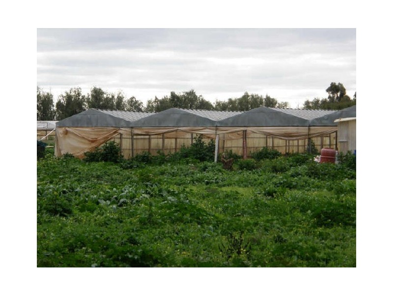 Lot 3 Womma Road, Penfield SA 5121