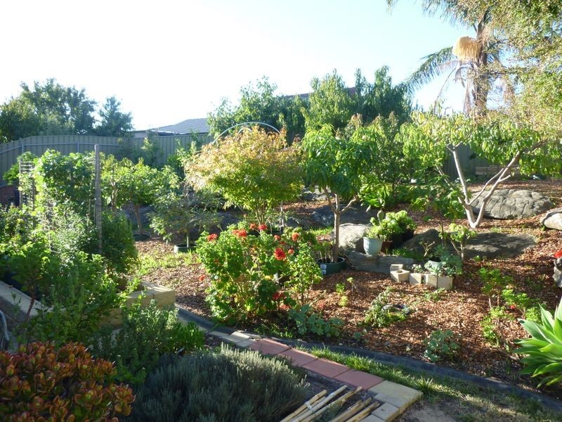 17 Mackay Court, Greenwith SA 5125