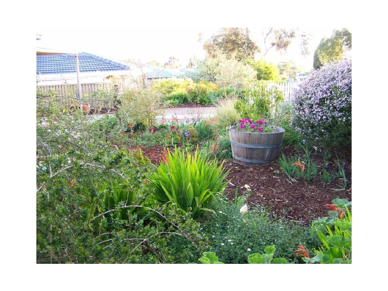 23 Wirilda Avenue, Surrey Downs SA 5126