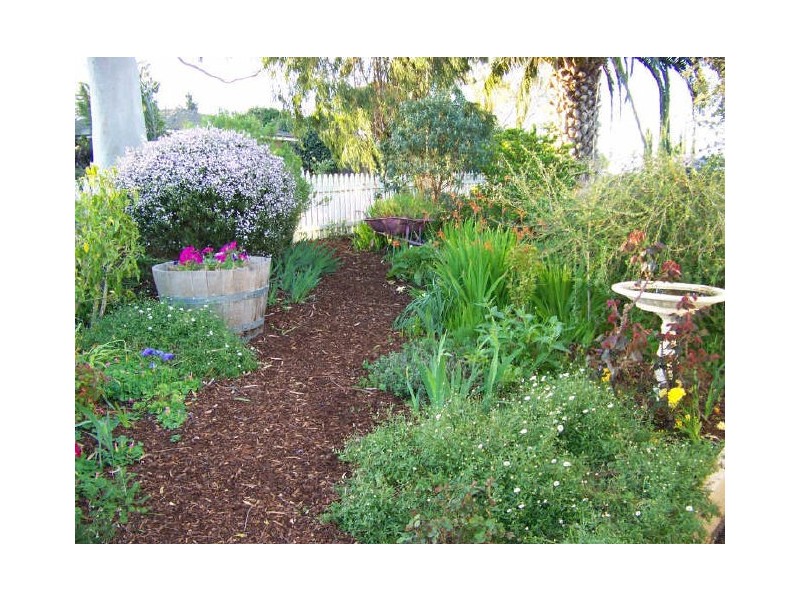 23 Wirilda Avenue, Surrey Downs SA 5126