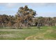 Lot 109 Jutland Road, Springton SA 5235