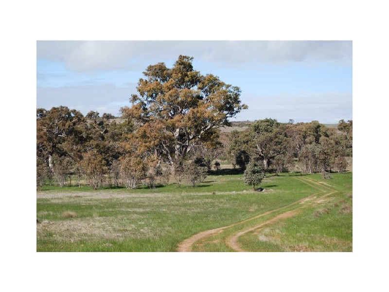 Lot 109 Jutland Road, Springton SA 5235