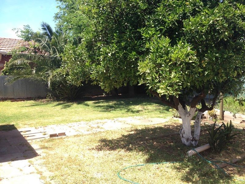 45 Hampstead Rd, Manningham SA 5086