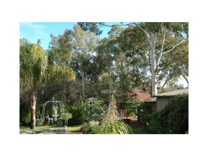 53 Buckley Crescent, Fairview Park SA 5126