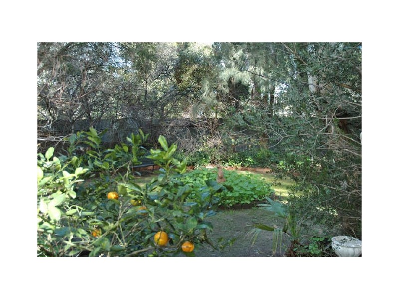 53 Buckley Crescent, Fairview Park SA 5126