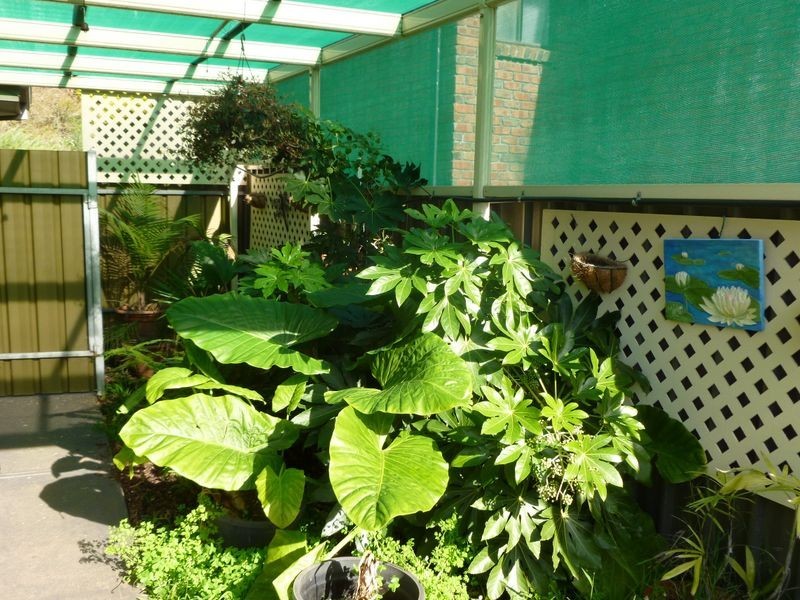 18 Northridge Court, Wynn Vale SA 5127