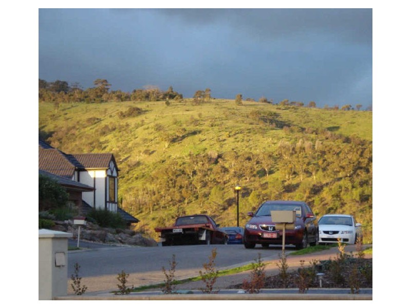 1 Old Sheoak Court, Highbury SA 5089