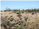 Lot 1 Queensborough Drv, Salisbury Heights SA 5109