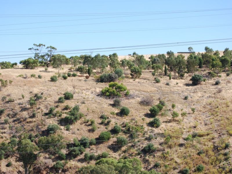 Lot 1 Queensborough Drv, Salisbury Heights SA 5109