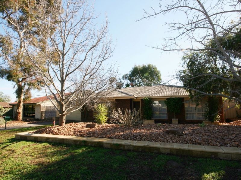 24 Kurrajong Street, Surrey Downs SA 5126