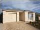 6 Martindale Place, Walkley Heights SA 5098