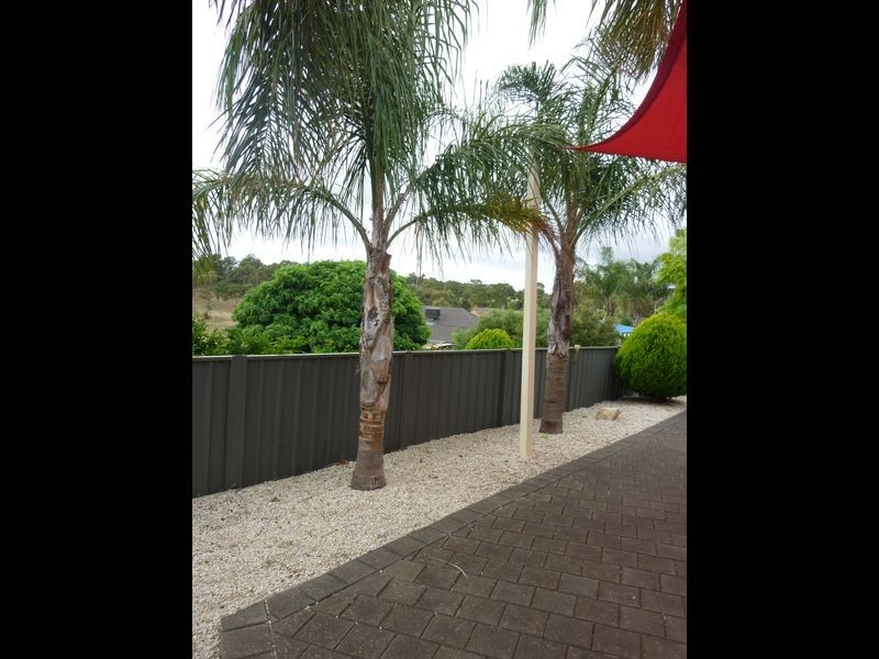 14 Rodeo Drive, Wynn Vale SA 5127