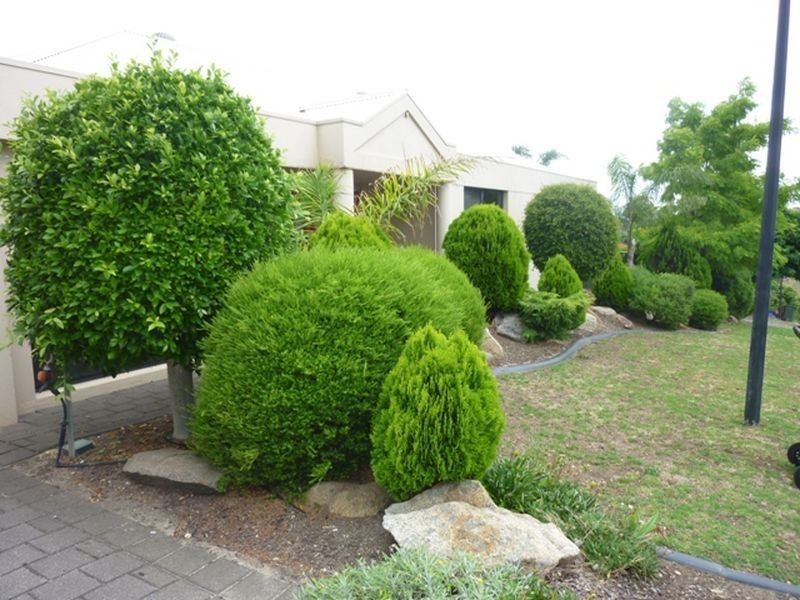 14 Rodeo Drive, Wynn Vale SA 5127