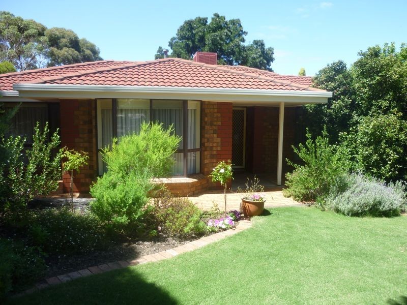 11 Greenvale Court, Wynn Vale SA 5127