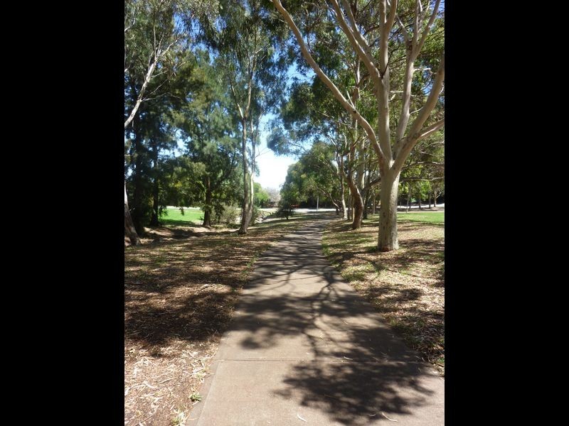 11 Greenvale Court, Wynn Vale SA 5127