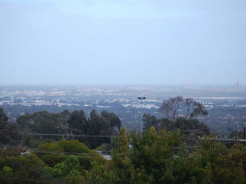 22 Abellia Avenue, Para Vista SA 5093