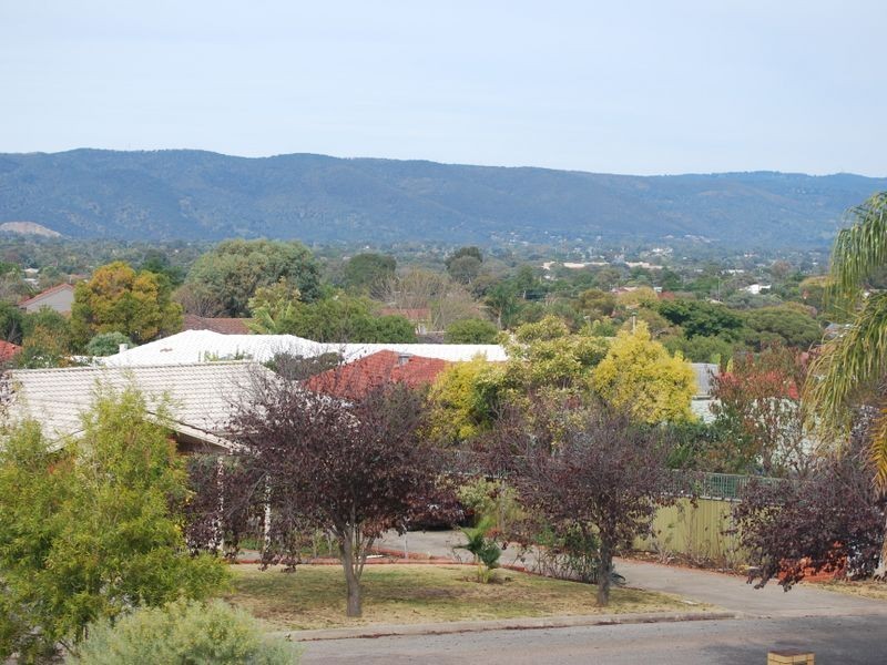 3 Swan Court, Modbury Heights SA 5092