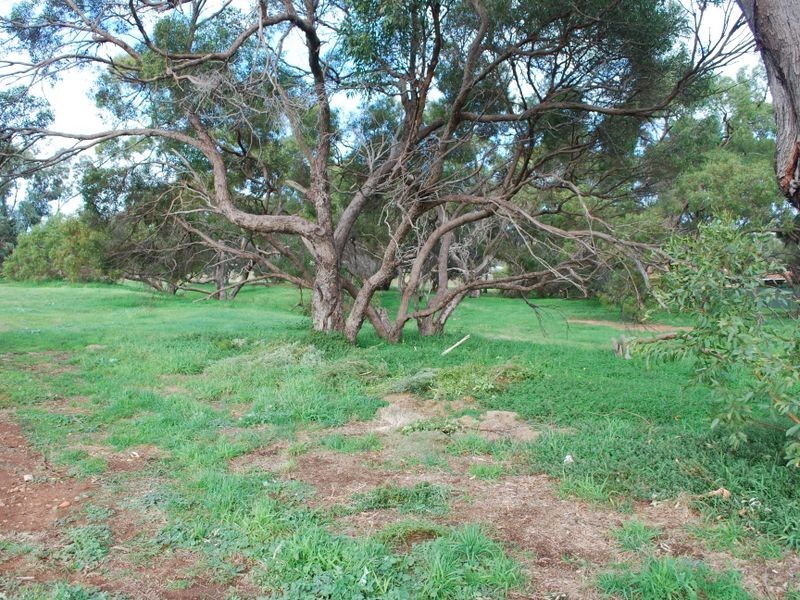 13 Balch Court, Elizabeth East SA 5112