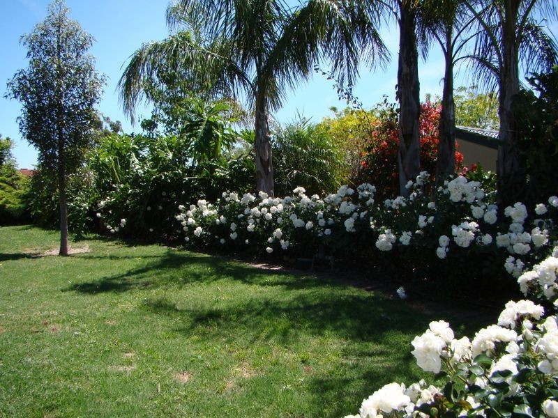 14 Cabernet Ave, Wynn Vale SA 5127