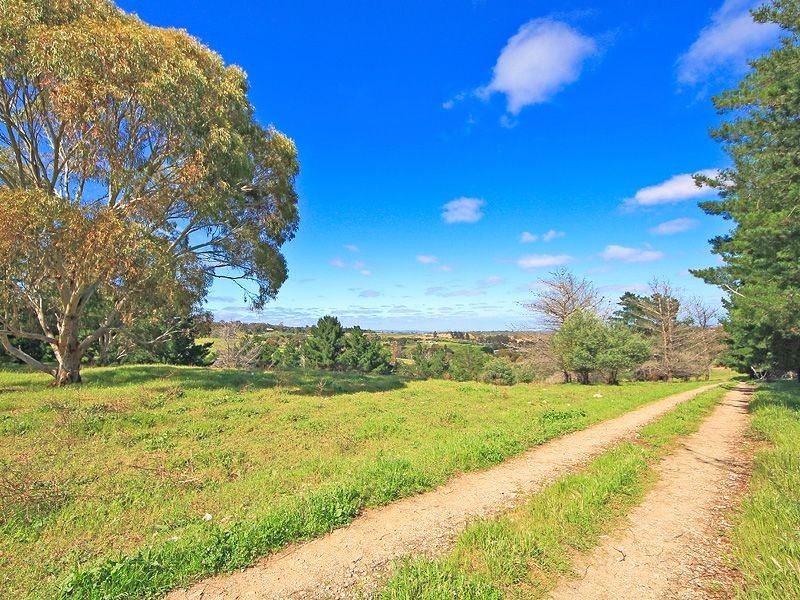 Lot 200 One Tree Hill Road, Golden Grove SA 5125