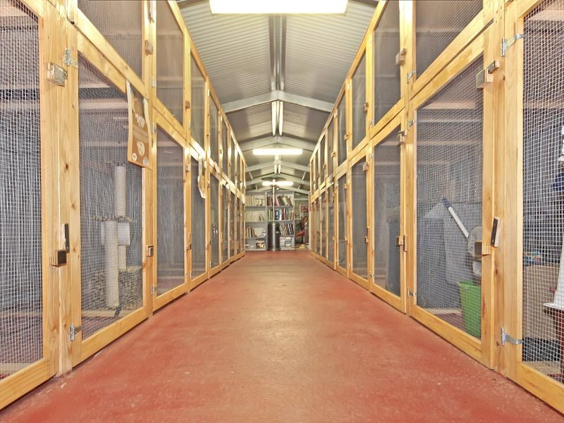 Lot 200 One Tree Hill Road, Golden Grove SA 5125