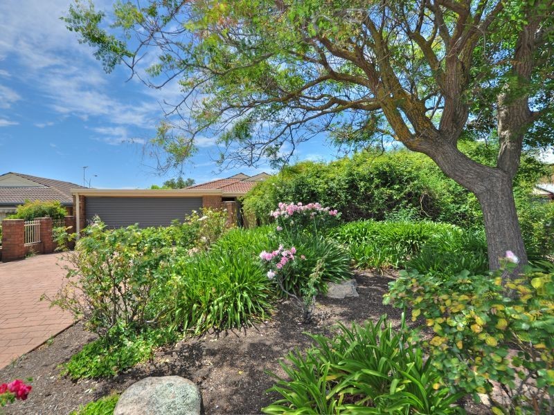 6 Harmer Court, Wynn Vale SA 5127
