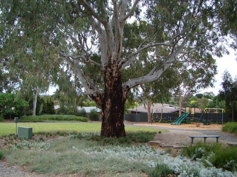 13 Barns Avenue, Highbury SA 5089