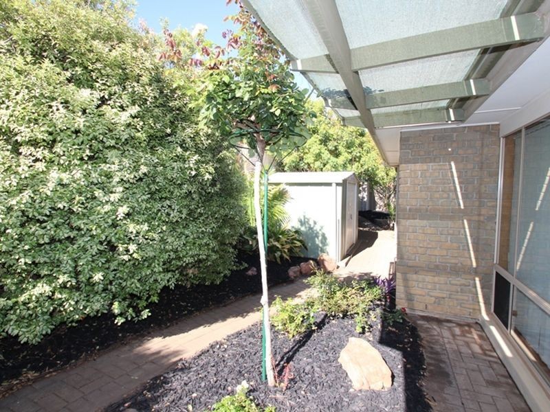 15 Yellow Wood Court, Greenwith SA 5125