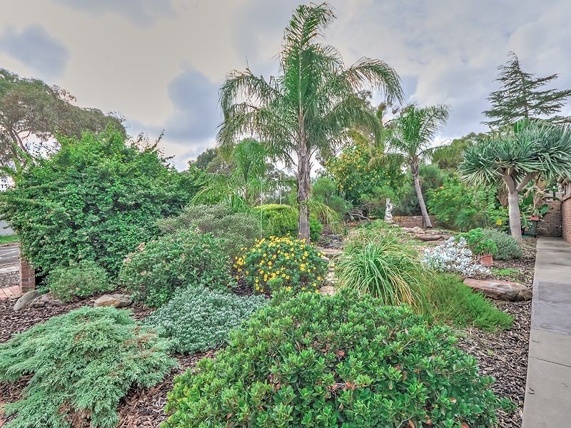 11 Seville Ave, Gulfview Heights SA 5096