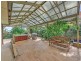 2 Grevillea Drive, Banksia Park SA 5091