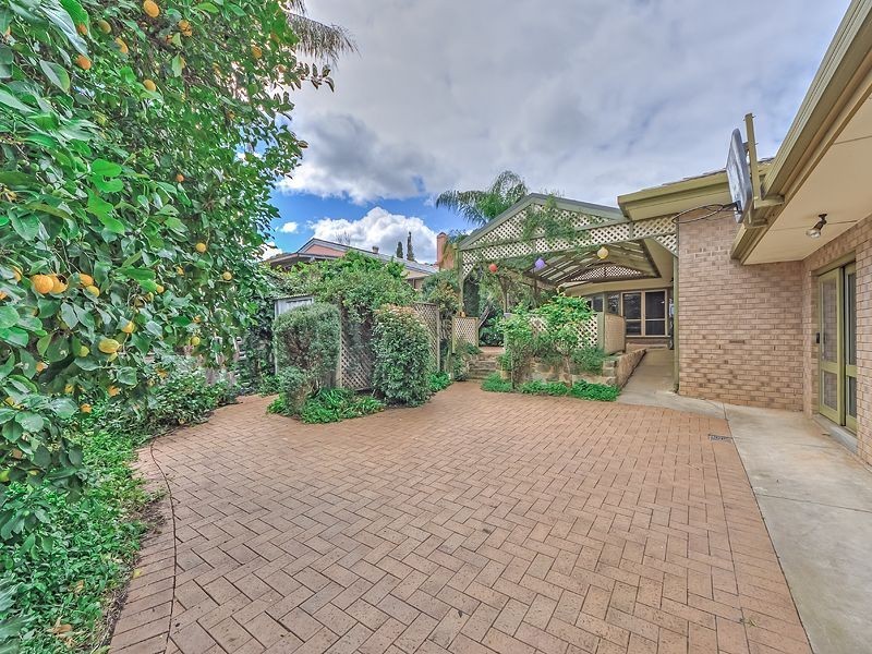 2 Grevillea Drive, Banksia Park SA 5091