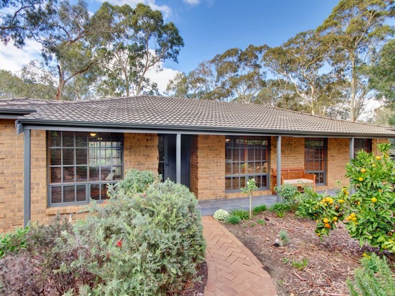233 Hancock Road, Banksia Park SA 5091