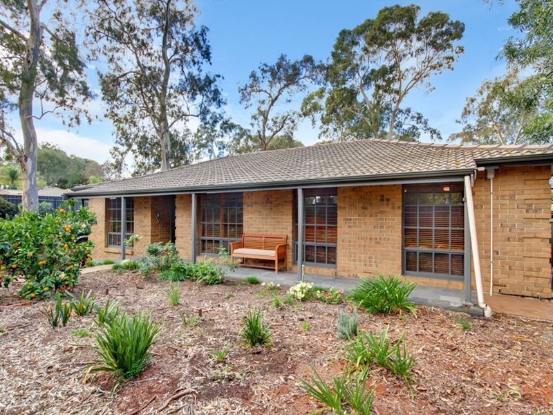 233 Hancock Road, Banksia Park SA 5091