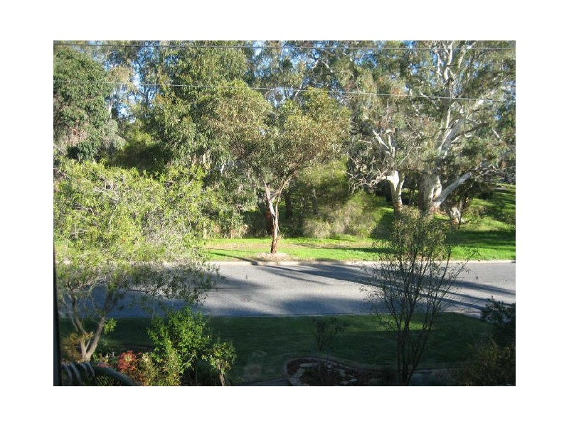 3 Amanda Drive, Surrey Downs SA 5126