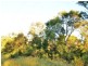 Llandilo NSW 2747