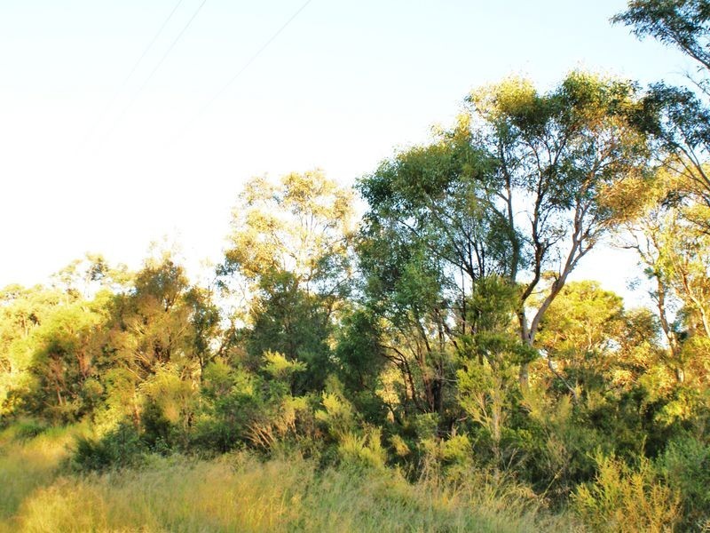Llandilo NSW 2747