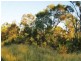 Llandilo NSW 2747