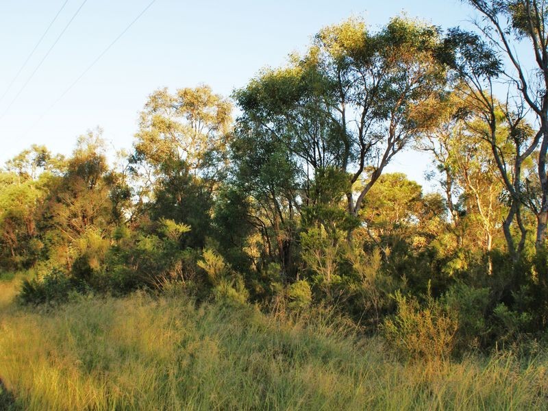 Llandilo NSW 2747