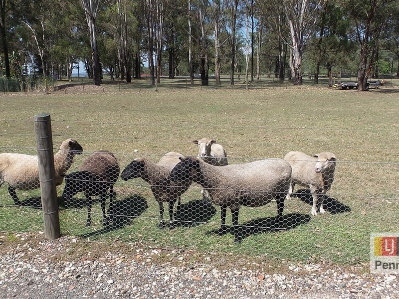 1077 Castlereagh Road, Castlereagh NSW 2749