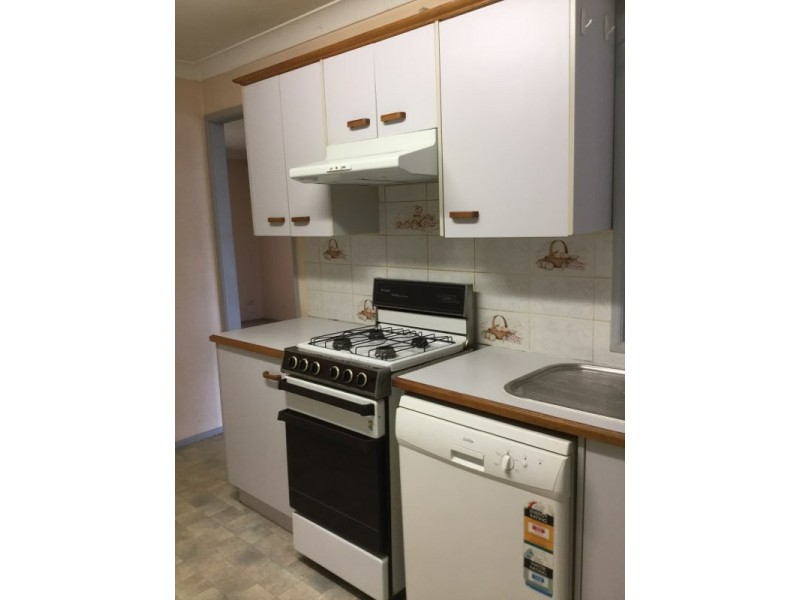 38 Ashwick Circuit, St Clair NSW 2759