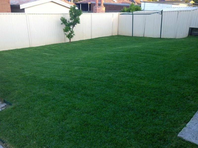 21 Edward Street, Kingswood NSW 2747