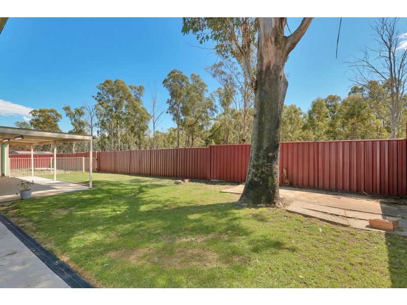 34 Sedgman Crescent, Shalvey NSW 2770