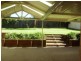9 Hillside Circuit, Cranebrook NSW 2749