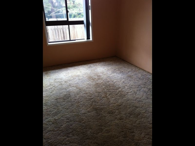 1 Newport Street, Cambridge Park NSW 2747